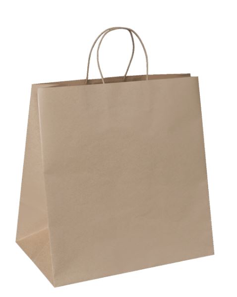 Paper Bags With Handle Med 100 pack