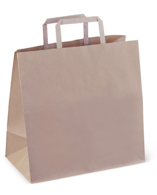Paper Bags with Handle Large, 250pk