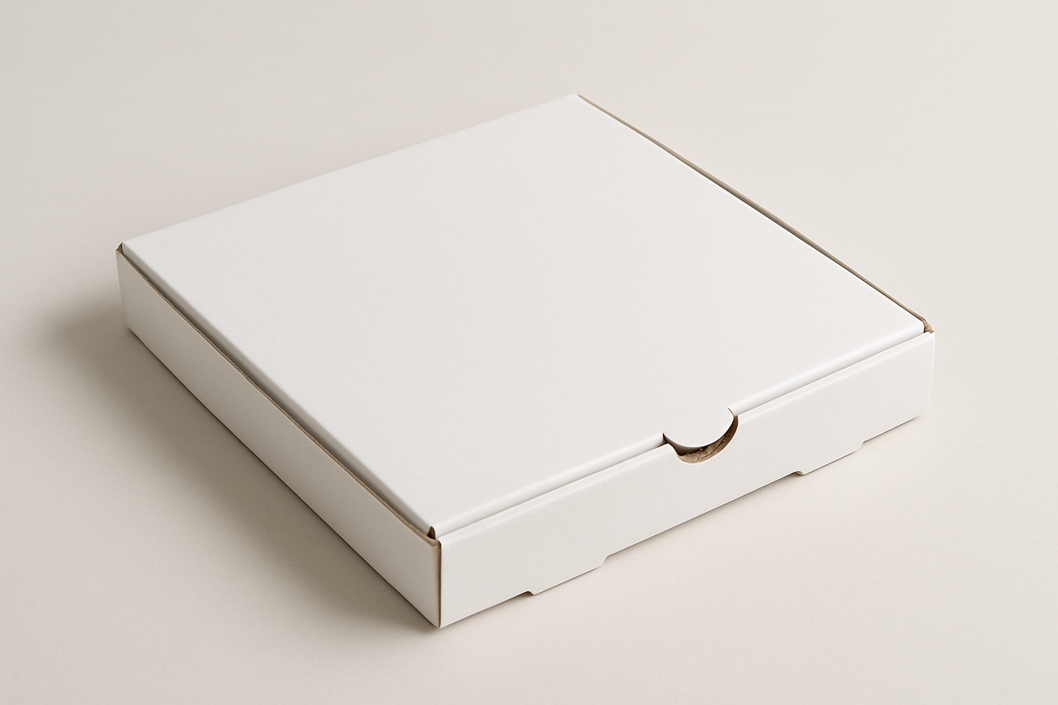 plain white pizza box